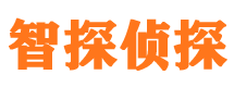 宜黄市私家侦探